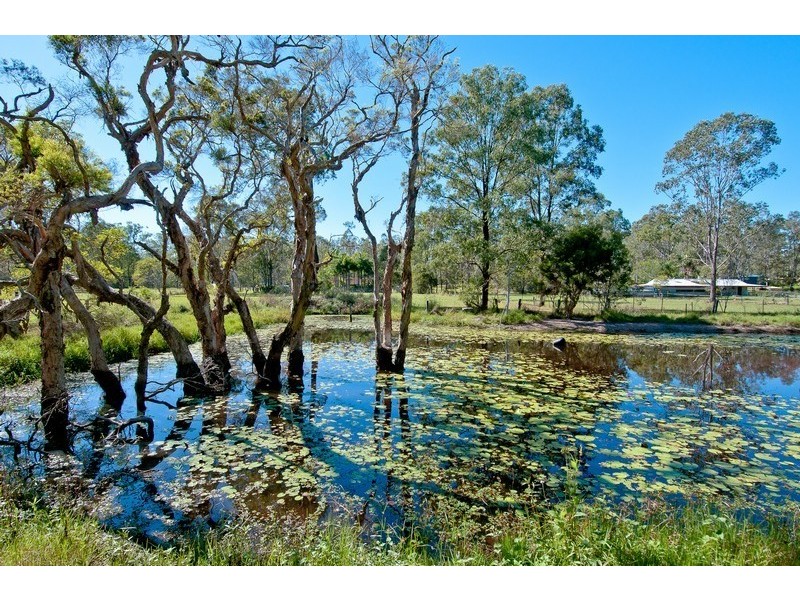 205-221 Mundoolun Road, Jimboomba QLD 4280