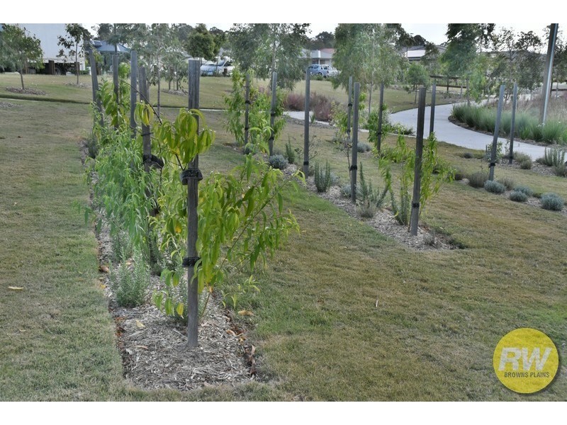 14 Coralina Crescent, Logan Reserve QLD 4133