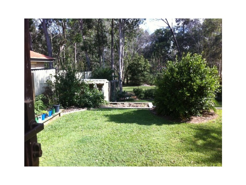 17 Conifer Street, Hillcrest QLD 4118