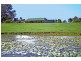 259 Rossmore Road, Chambers Flat QLD 4133