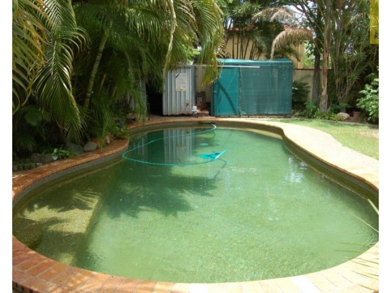 19 Seaton Street, Hillcrest QLD 4118