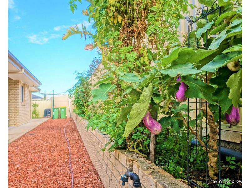 35 Maryland Drive, Regents Park QLD 4118