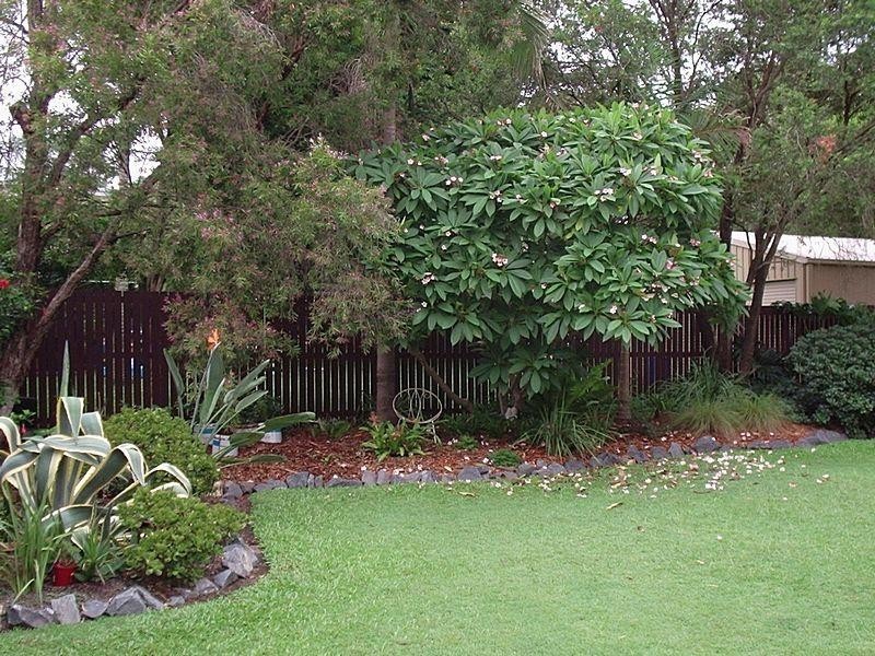 29 Zorina Street, Browns Plains QLD 4118