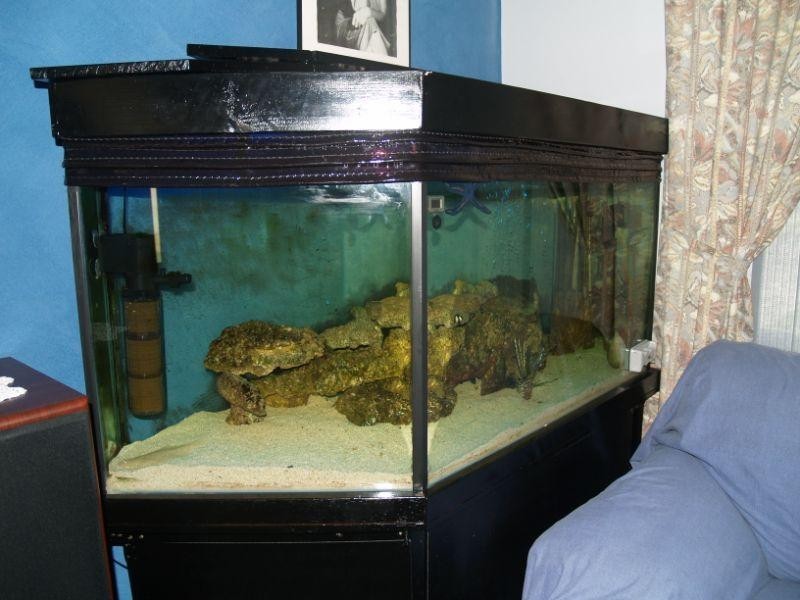 44 Cunningham Drive, Boronia Heights QLD 4124