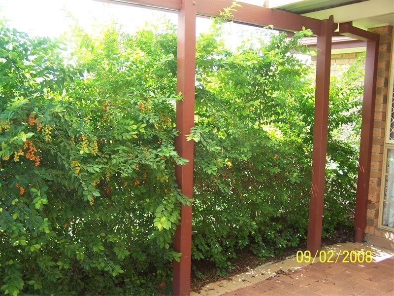 Browns Plains QLD 4118