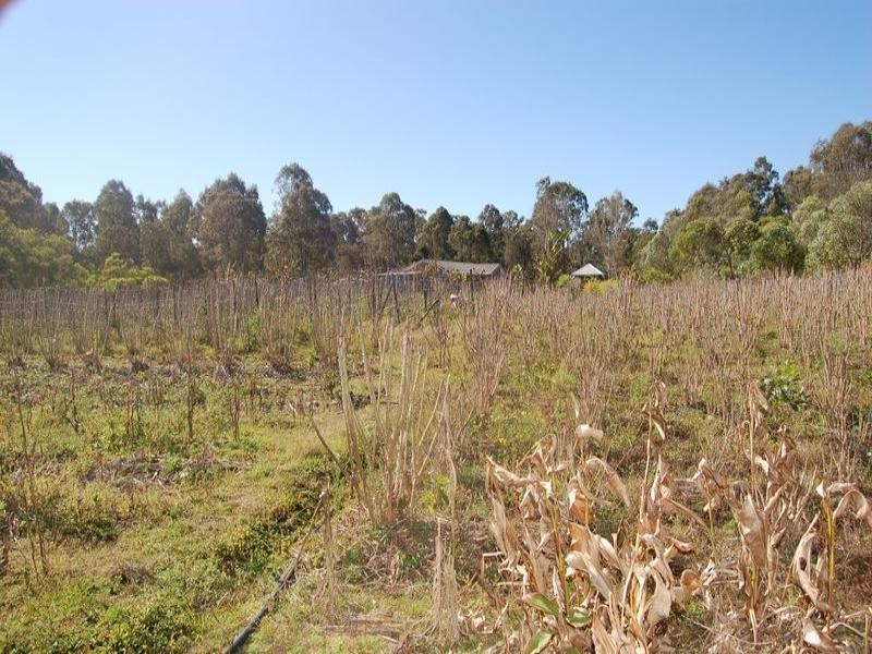 83-85 Sheils Road, Chambers Flat QLD 4133