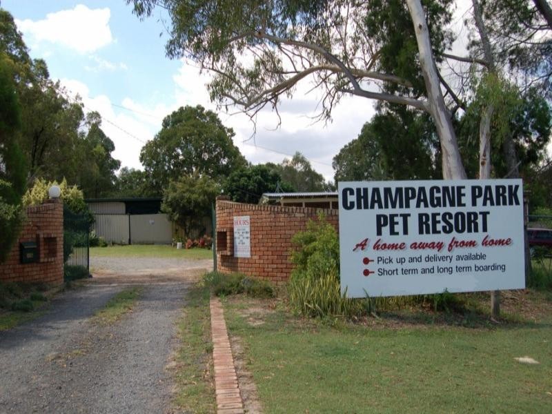 176 Granger Road, Park Ridge South QLD 4125