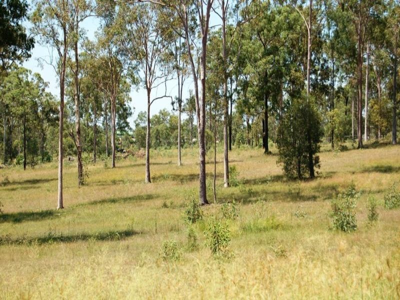 Lot 1 Doyle Road, South Maclean QLD 4280