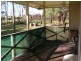 Park Ridge QLD 4125