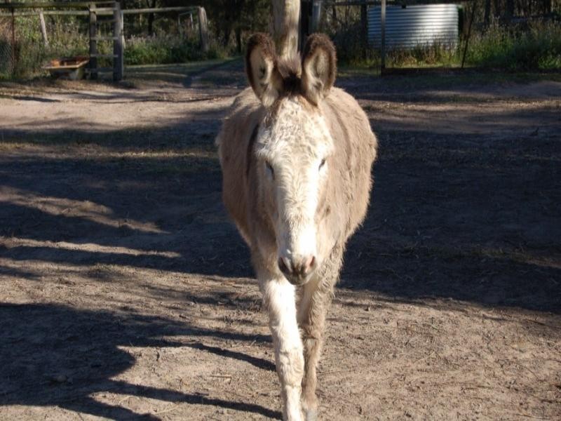 42-48 Loganview Road, Logan Reserve QLD 4133