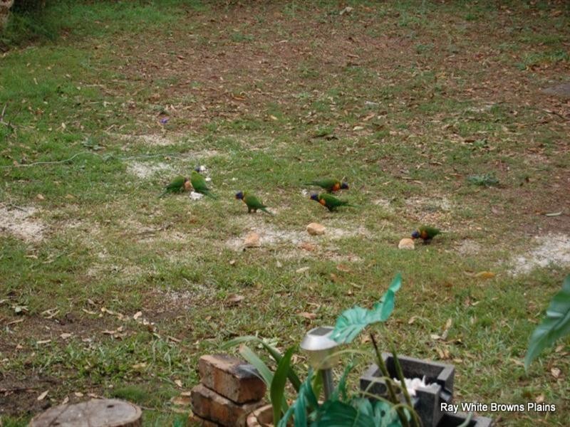 42 Sherwood Drive, Browns Plains QLD 4118