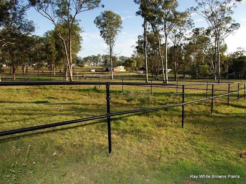 55 Dandaraga Court, Chambers Flat QLD 4133