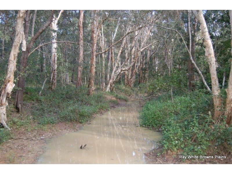 259 Clifton Drive, North Maclean QLD 4280