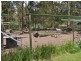 35 Nottingham Court, Forestdale QLD 4118