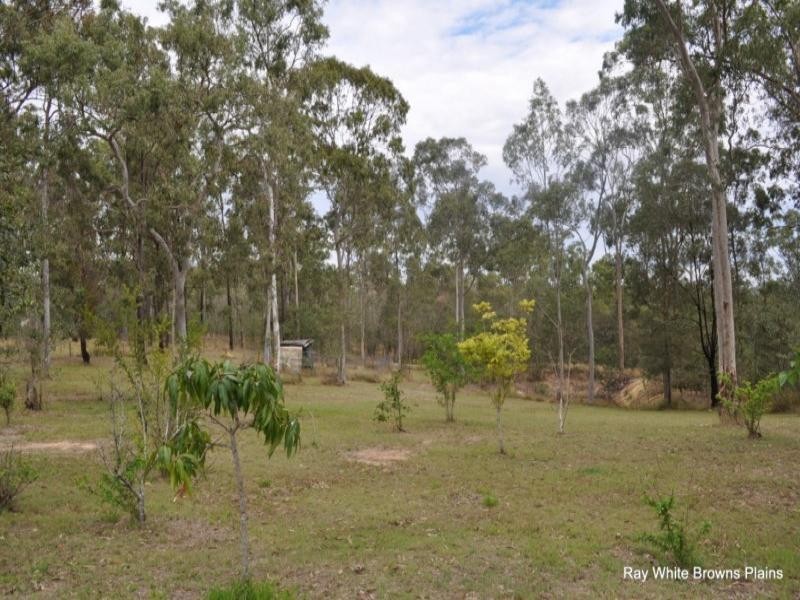 13 Klipspringer Court, Greenbank QLD 4124