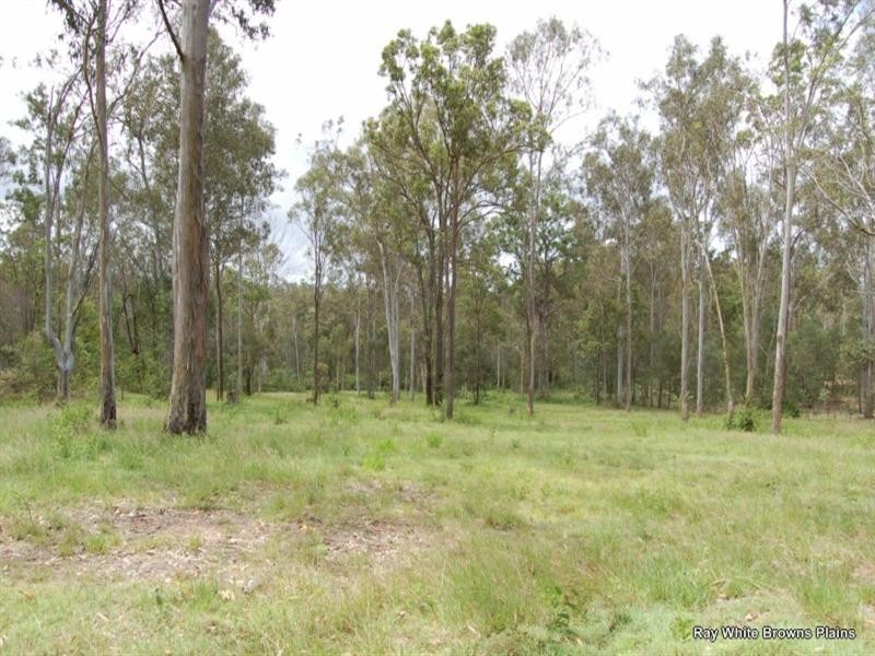 123 Clifton Drive, North Maclean QLD 4280