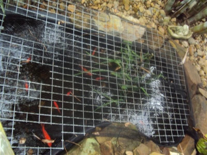 Browns Plains QLD 4118