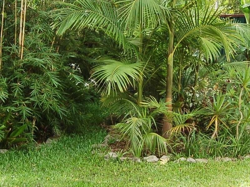 8 Birch Street, Marsden QLD 4132