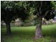 North Ipswich QLD 4305