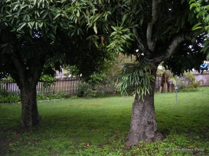 North Ipswich QLD 4305