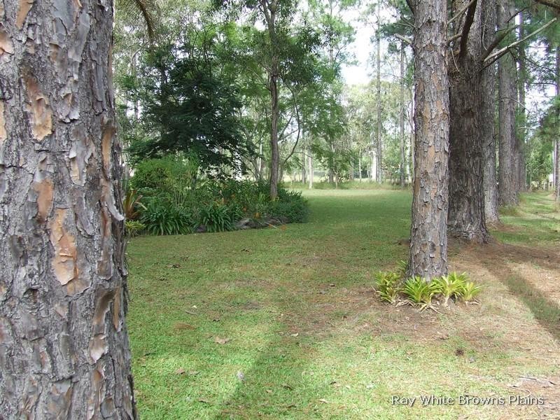 296 Chambers Flat Road, Logan Reserve QLD 4133