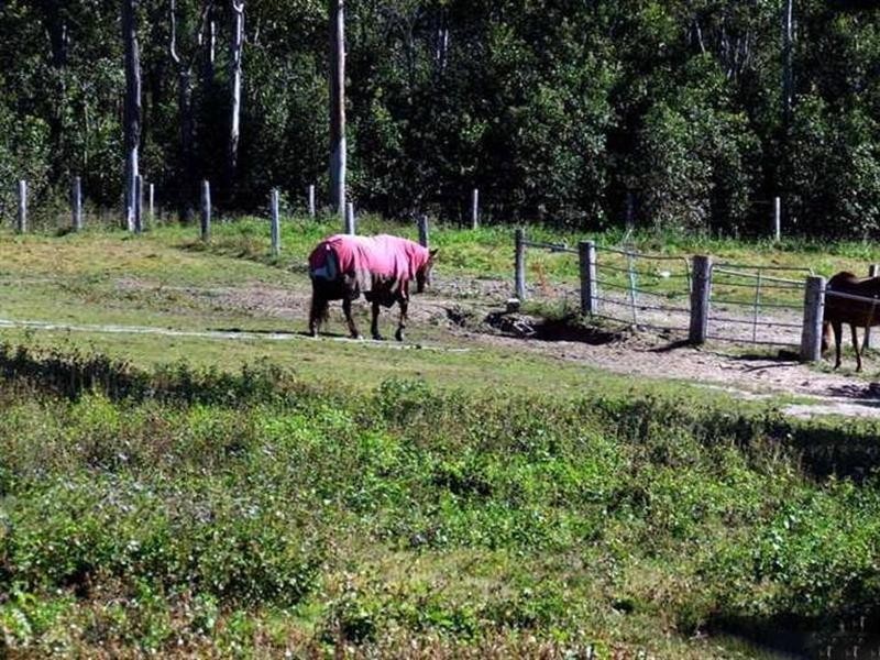 103 New Beith Road, Greenbank QLD 4124