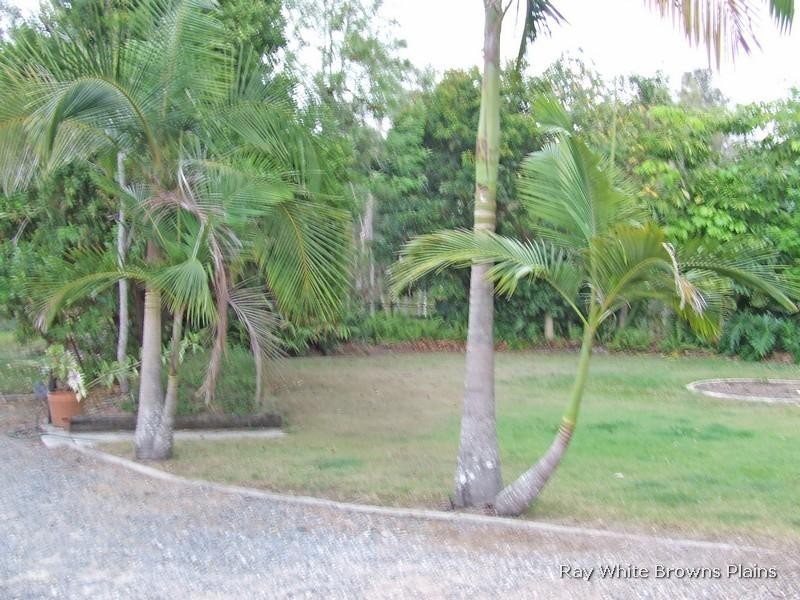 18 Kadlunga Court, Boronia Heights QLD 4124