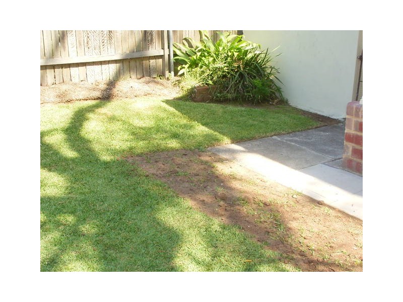 7 Tulip Street, Chatswood NSW 2067