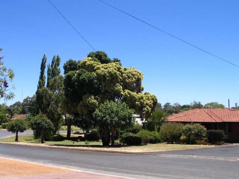 4 Bryant Street, Eaton WA 6232