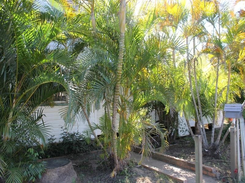 95 Gavin Street, Bundaberg North QLD 4670