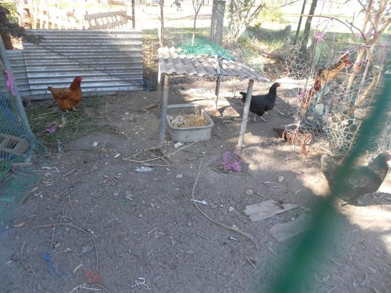 81 Pharlap Parade, Branyan QLD 4670