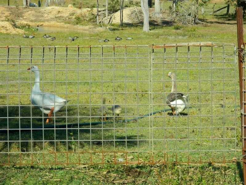 563 Booyan Road, Moorland QLD 4670