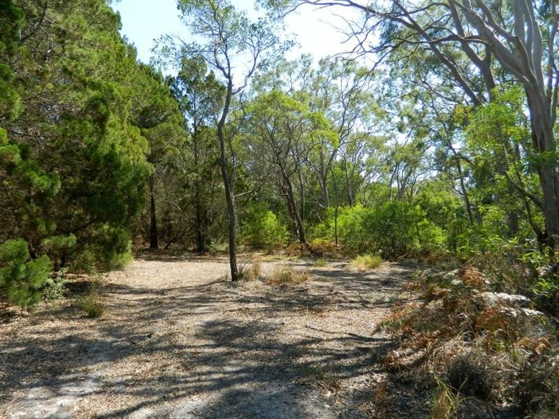 LOT 1 Herbert Hall Road, Coonarr QLD 4670