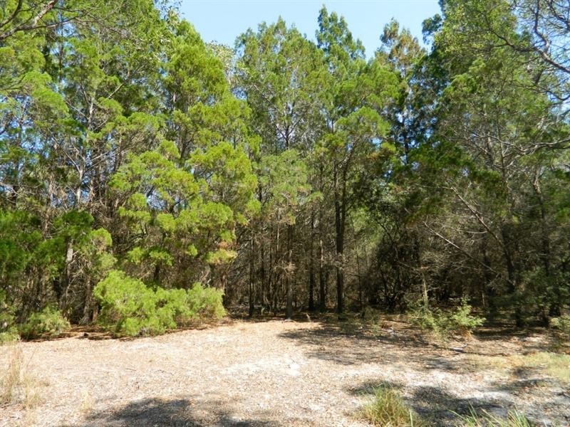 LOT 1 Herbert Hall Road, Coonarr QLD 4670