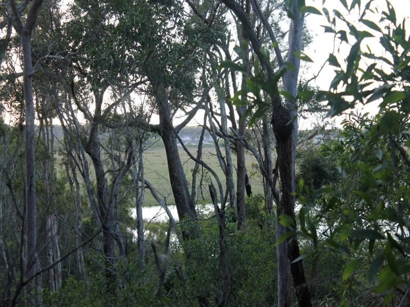 LOT 1 Herbert Hall Road, Coonarr QLD 4670