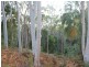 LOT 1 Herbert Hall Road, Coonarr QLD 4670