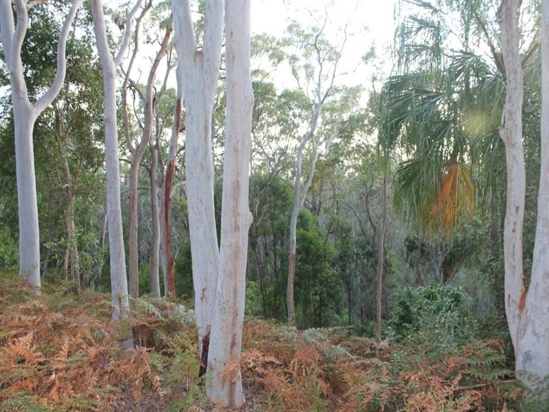 LOT 1 Herbert Hall Road, Coonarr QLD 4670