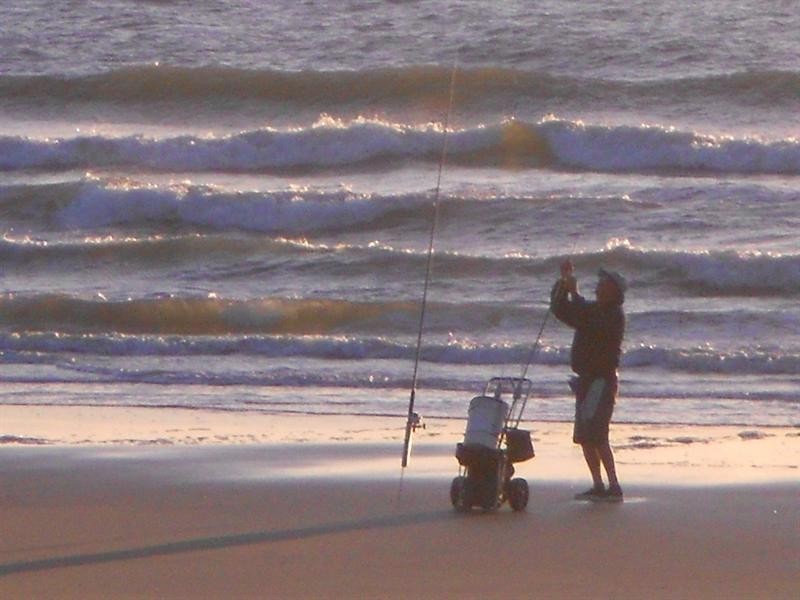 LOT 1 Herbert Hall Road, Coonarr QLD 4670