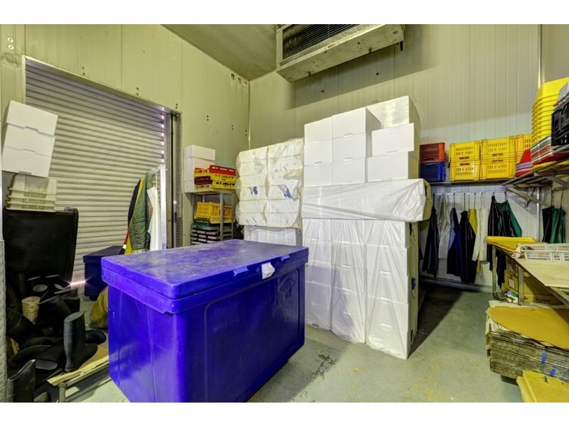 146 Buss Street, Burnett Heads QLD 4670