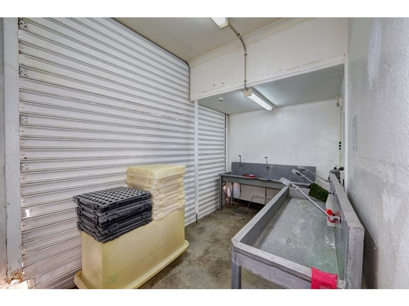 146 Buss Street, Burnett Heads QLD 4670