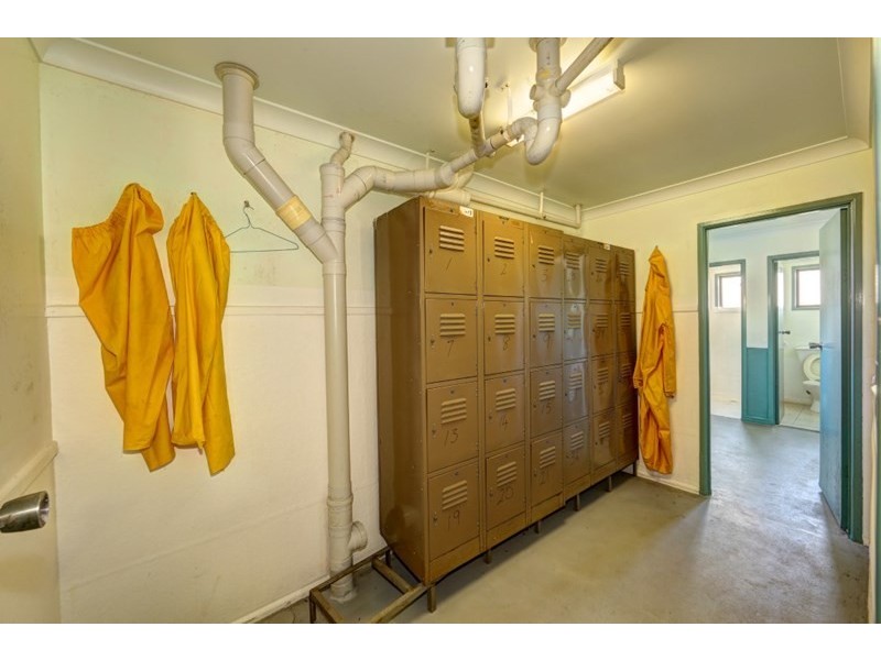 146 Buss Street, Burnett Heads QLD 4670