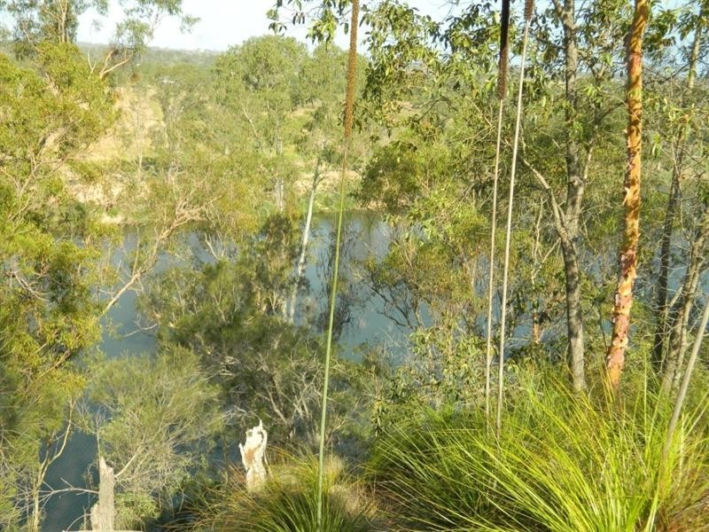 55 Park Estate Drive, Branyan QLD 4670