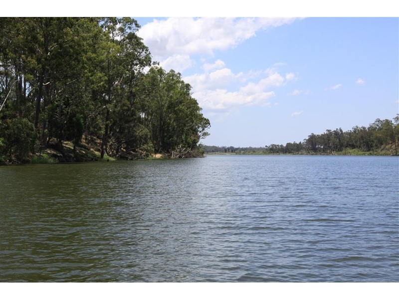 49 Kalbar Road, South Kolan QLD 4670