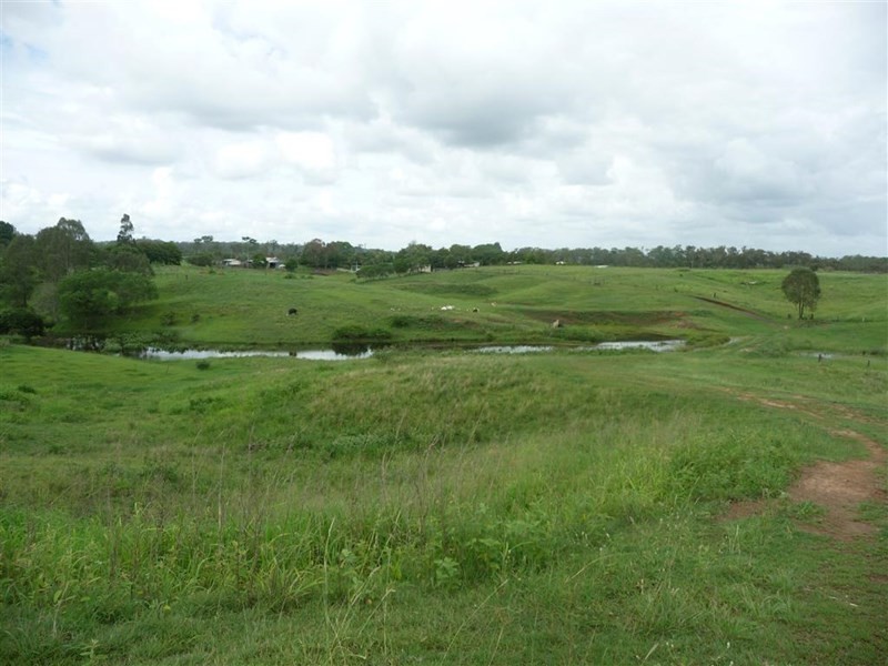 49 Kalbar Road, South Kolan QLD 4670