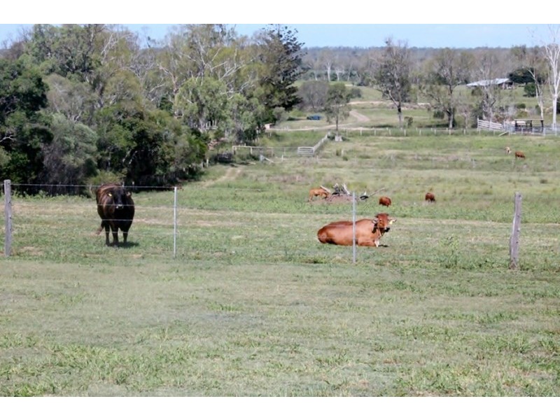 Bucca QLD 4670