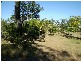 Gin Gin QLD 4671