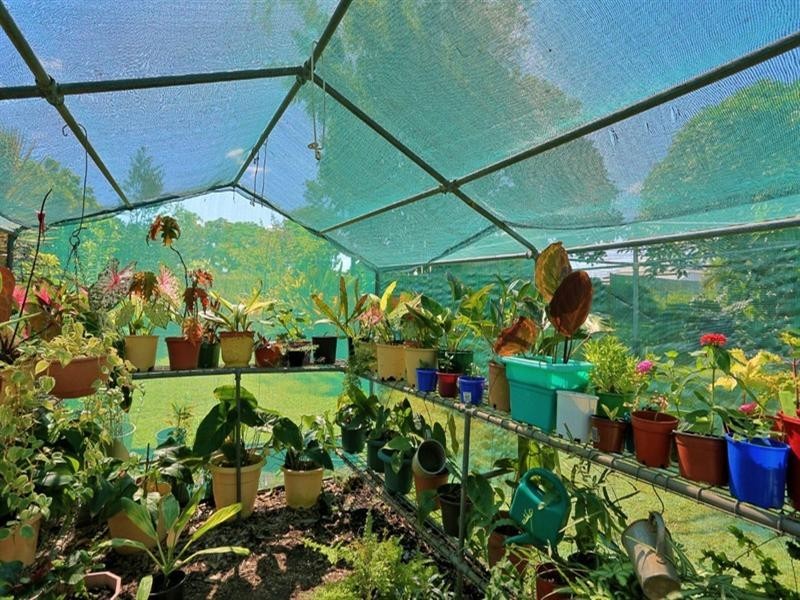 7 High Street, Walkervale QLD 4670