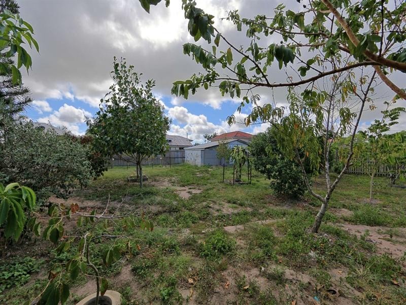 7 Cullen Street, Walkervale QLD 4670