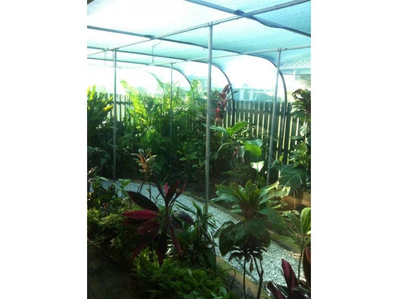 39 Maike Street, Bundaberg East QLD 4670