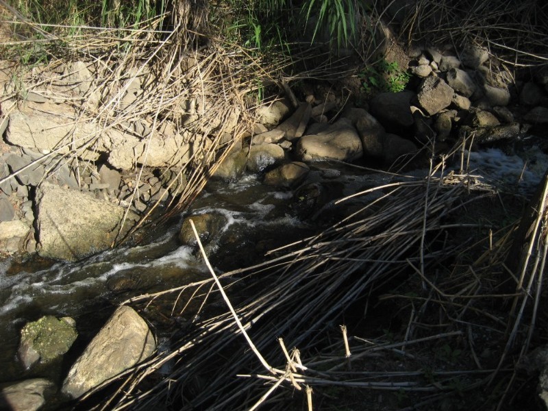 384 Ten Mile Road, Sharon QLD 4670